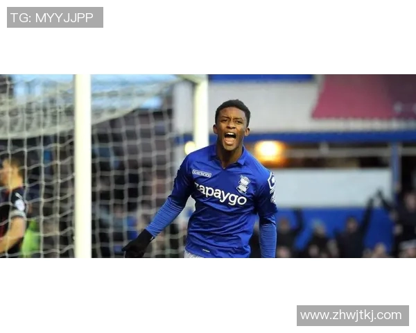 巴恩斯利与富勒姆的激烈对决揭示英冠赛季新动态与球队实力对比